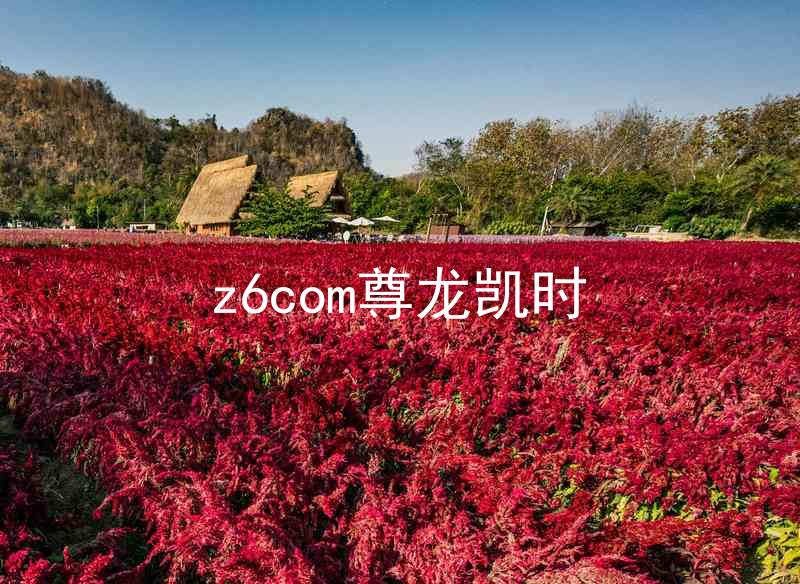 z6com尊龙凯时