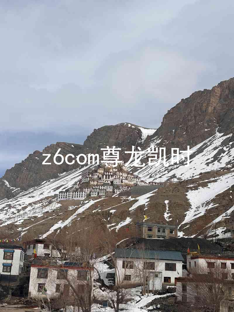 z6com尊龙凯时