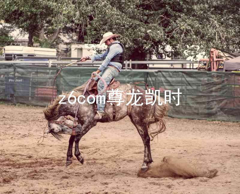z6com尊龙凯时